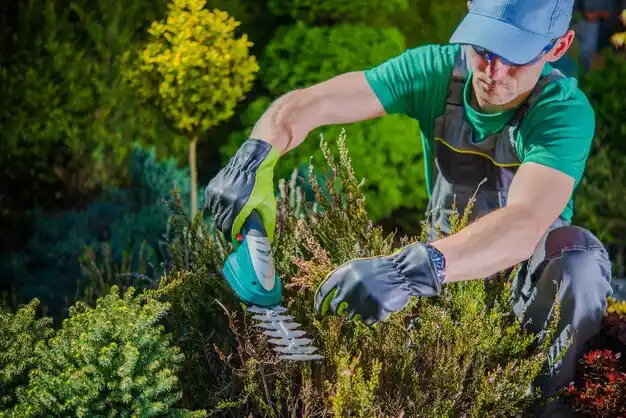 landscaping services Lake Linden
